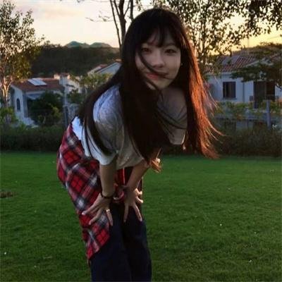 翡翠森林封面