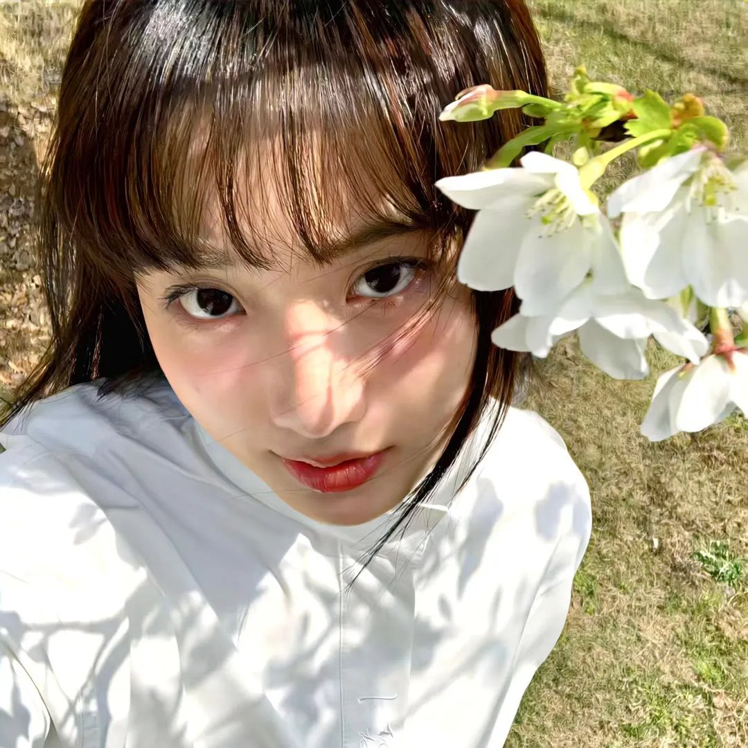 果岭奇迹封面